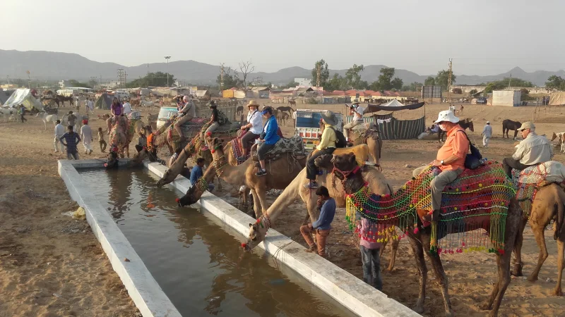 Heritage site visit in Nagore