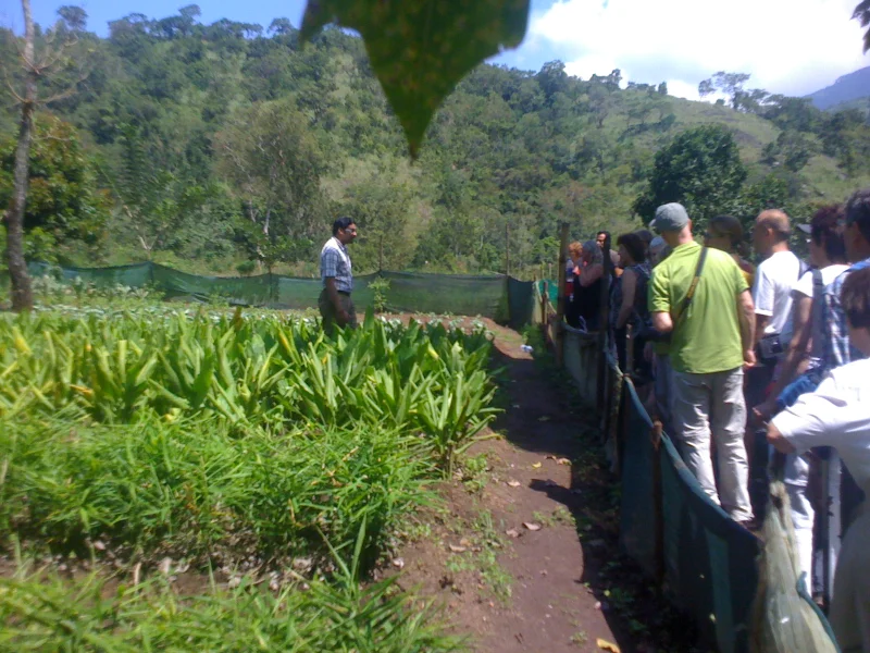 Memorable group moments and cultural exchange