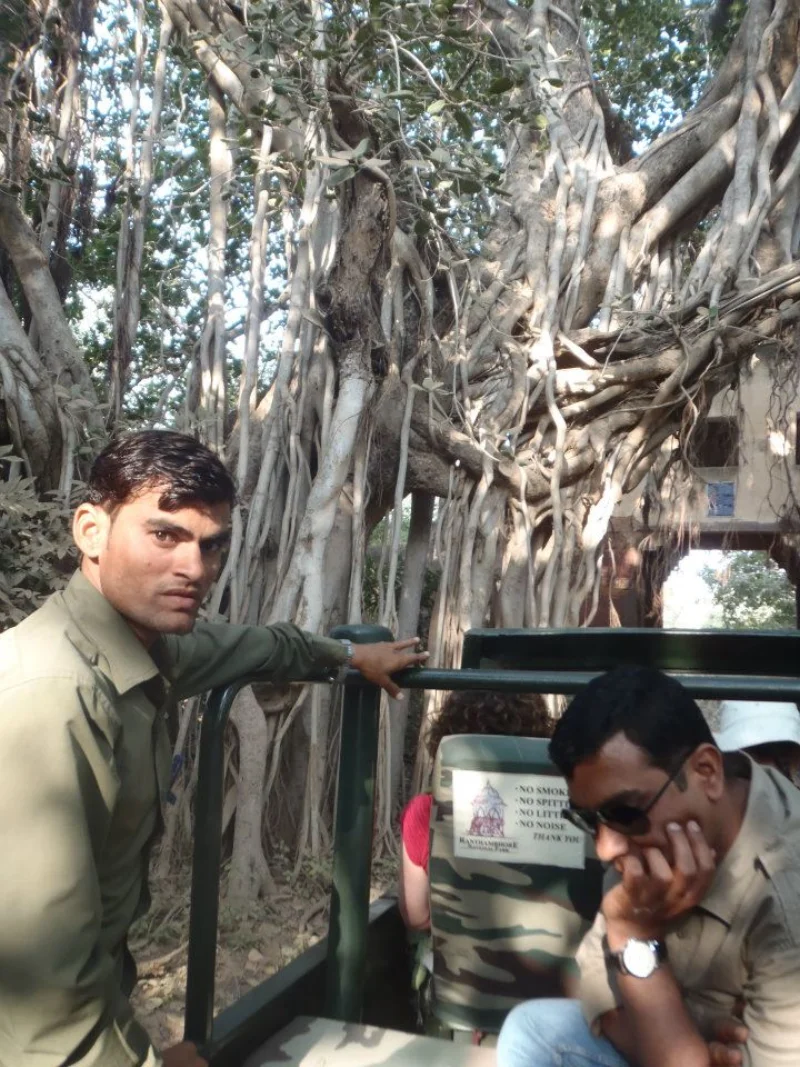 Wildlife safari experience in Ranthambhore National Park